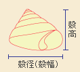 殻高、殻径