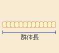 群体長